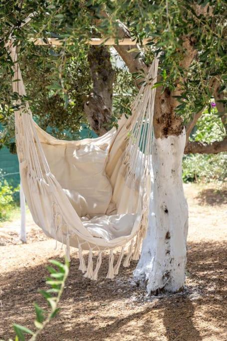 Olive Garden Villa Chania Χανιά Εξωτερικό φωτογραφία